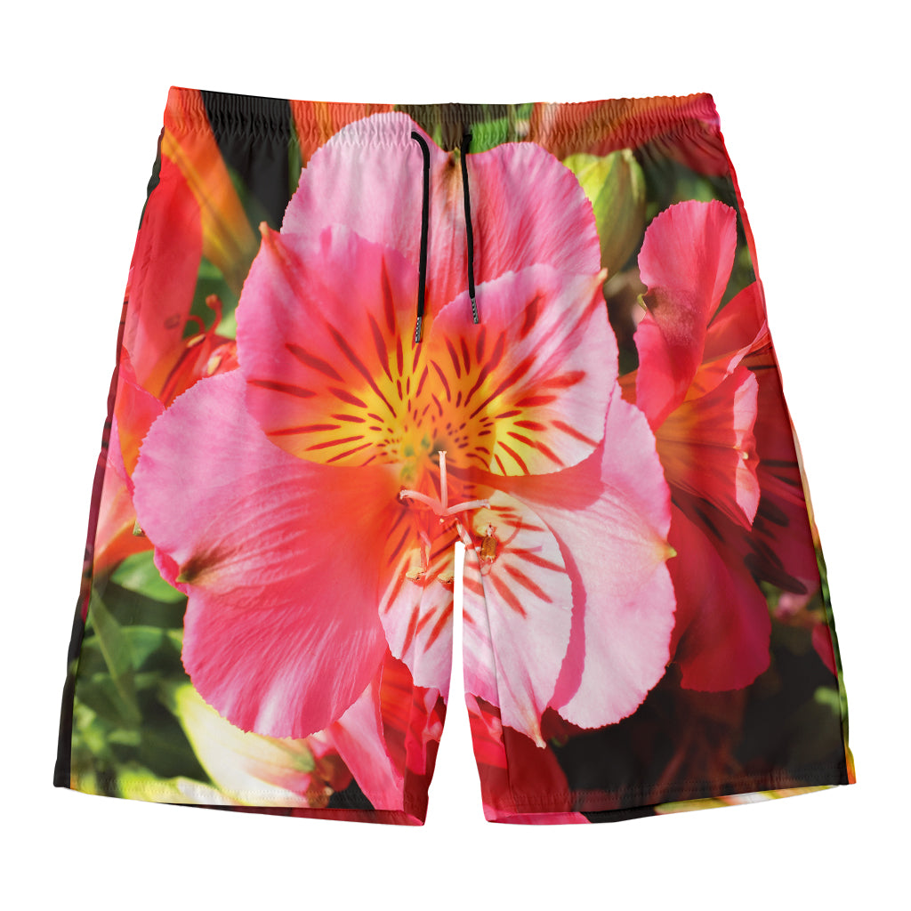 Pink Alstroemeria Print Men's Swim Trunks