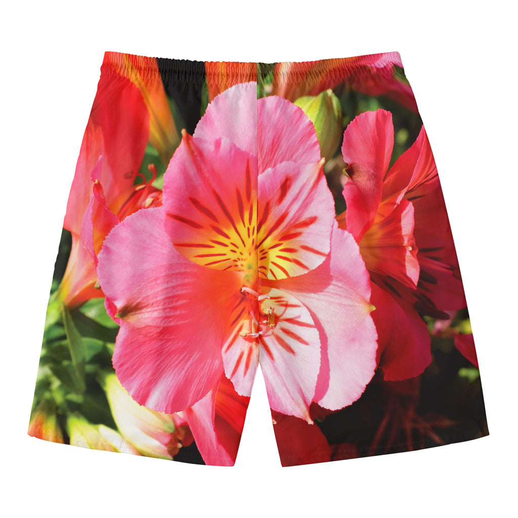 Pink Alstroemeria Print Men's Swim Trunks