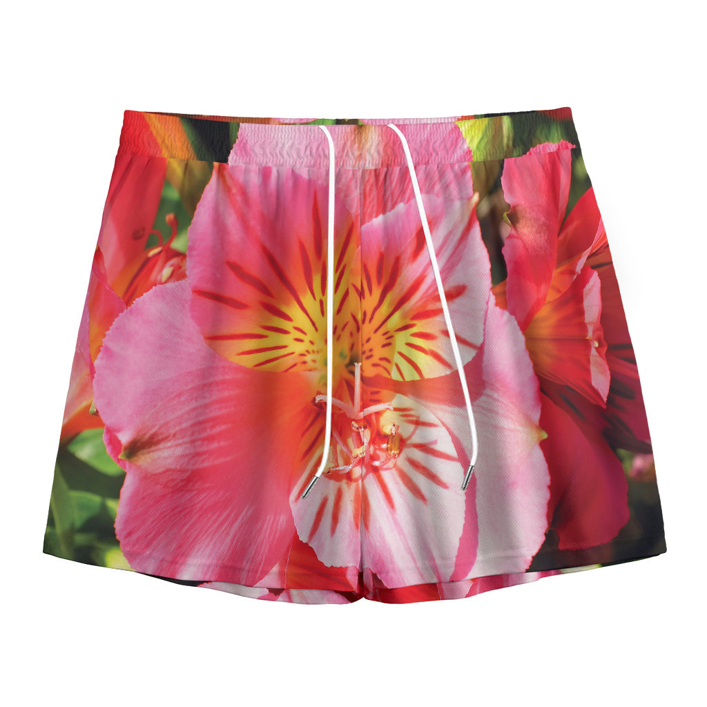 Pink Alstroemeria Print Mesh Shorts