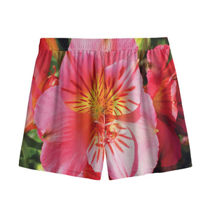 Pink Alstroemeria Print Mesh Shorts