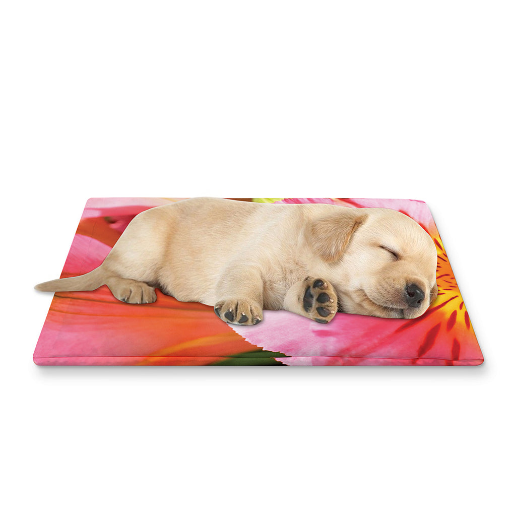 Pink Alstroemeria Print Pet Cooling Mat Cover