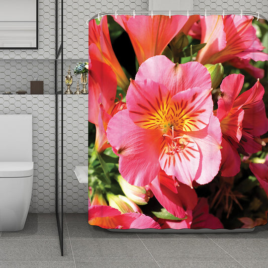 Pink Alstroemeria Print Polyester Shower Curtain