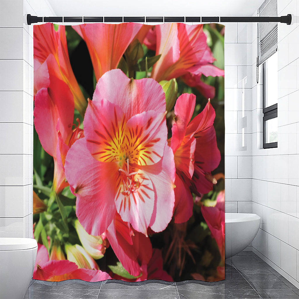 Pink Alstroemeria Print Premium Shower Curtain