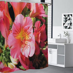 Pink Alstroemeria Print Premium Shower Curtain