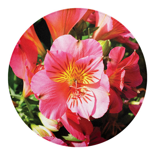 Pink Alstroemeria Print Round Blanket