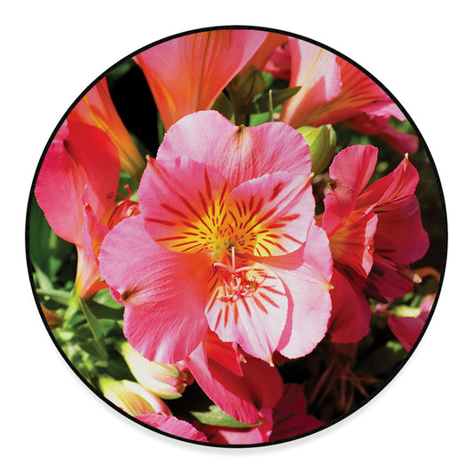 Pink Alstroemeria Print Round Floor Mat
