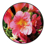 Pink Alstroemeria Print Round Floor Mat