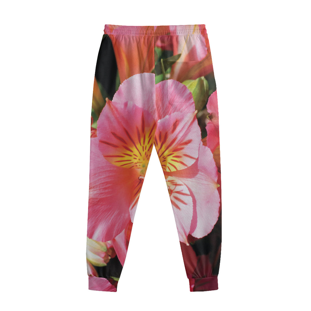 Pink Alstroemeria Print Sweatpants