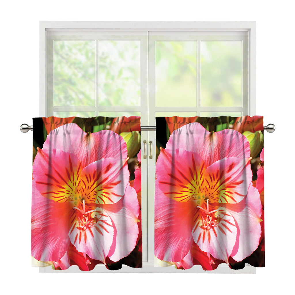 Pink Alstroemeria Print Tier Curtains