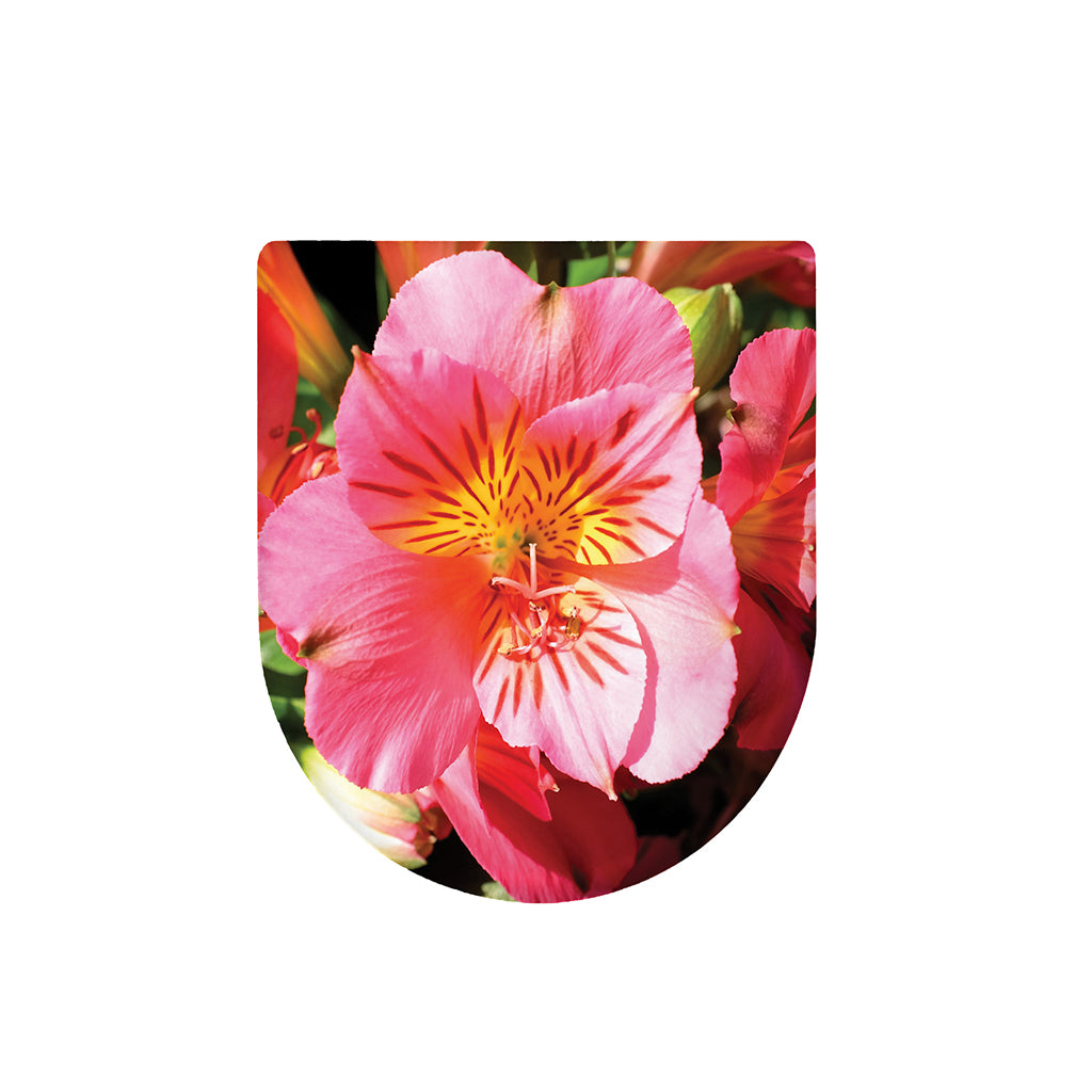 Pink Alstroemeria Print Toilet Lid Cover