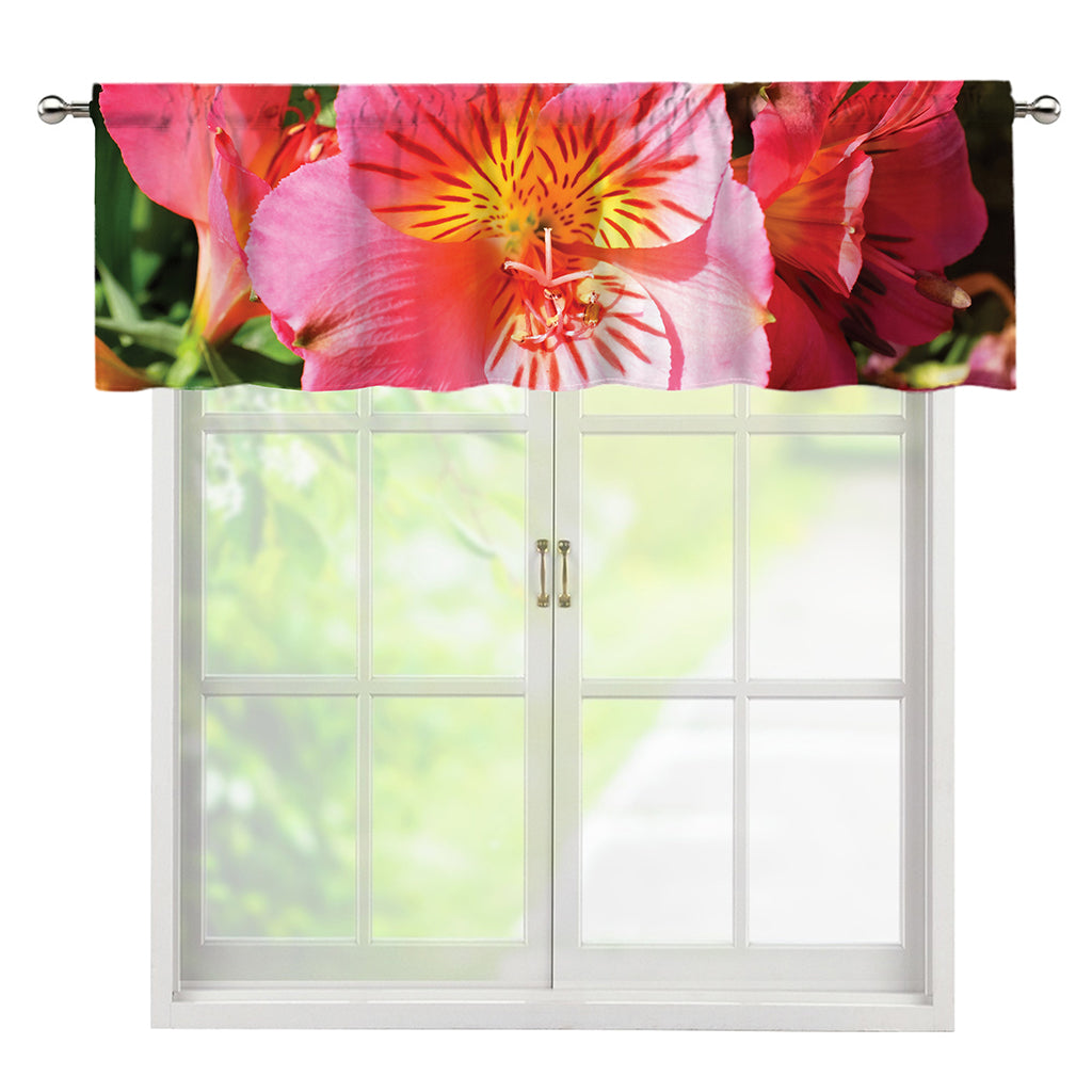Pink Alstroemeria Print Window Valance