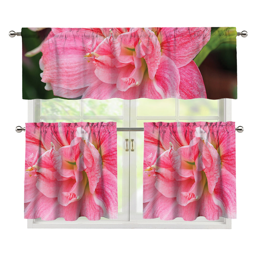 Pink Amaryllis Print 3 Piece Kitchen Curtains