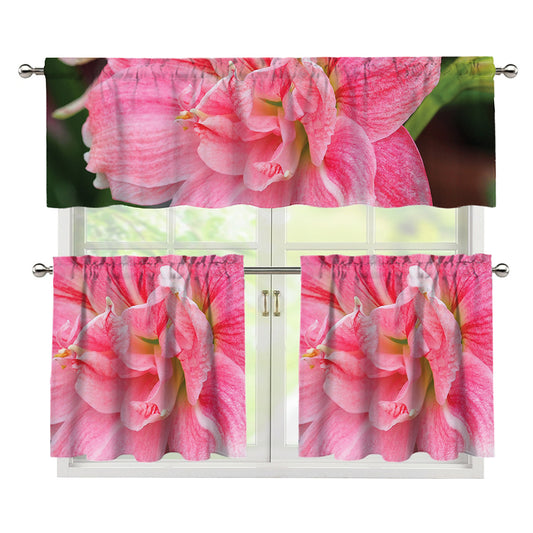Pink Amaryllis Print 3 Piece Kitchen Curtains