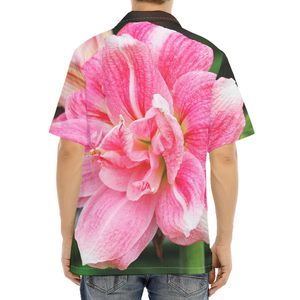 Pink Amaryllis Print Aloha Shirt