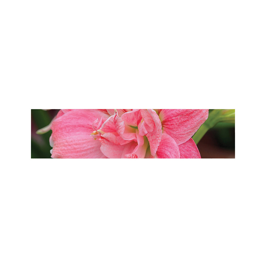 Pink Amaryllis Print Bed Runner