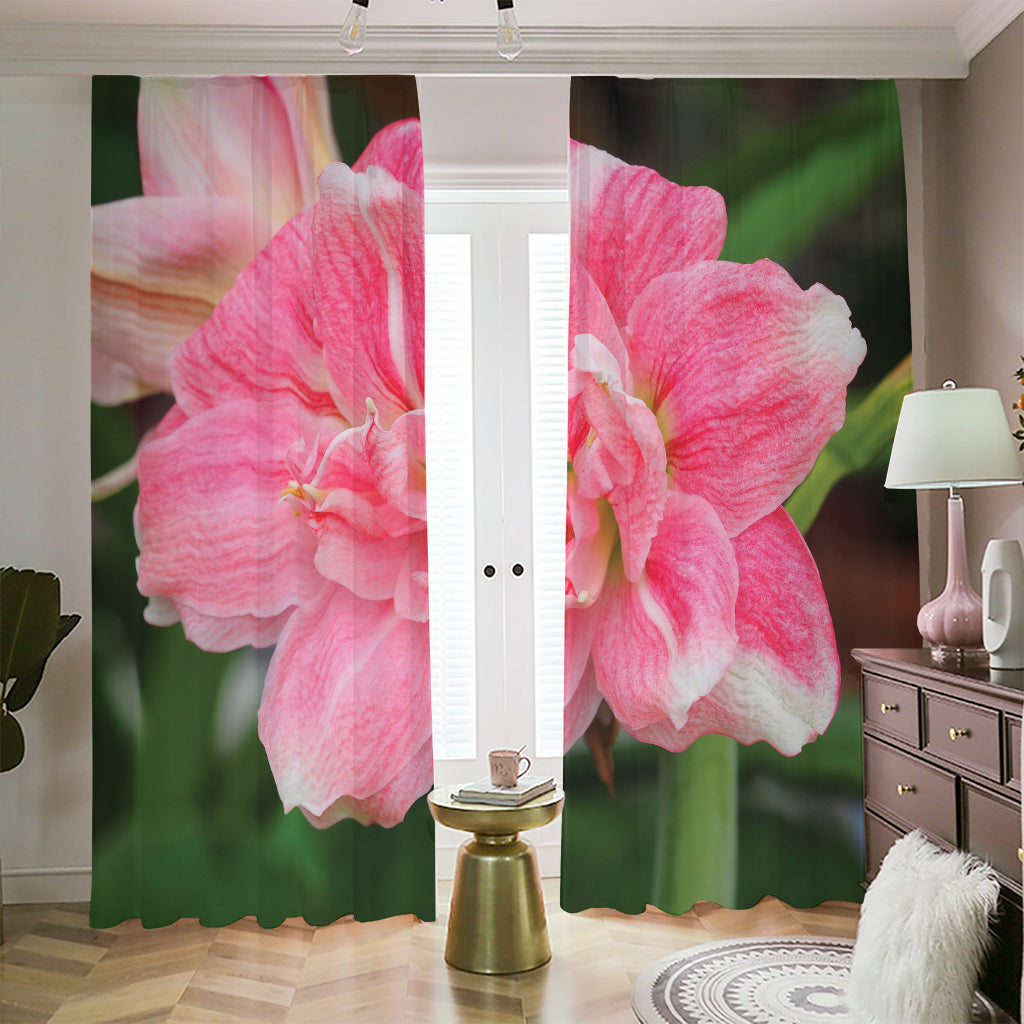 Pink Amaryllis Print Blackout Pencil Pleat Curtains