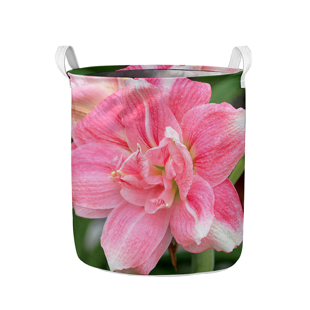 Pink Amaryllis Print Collapsible Laundry Basket