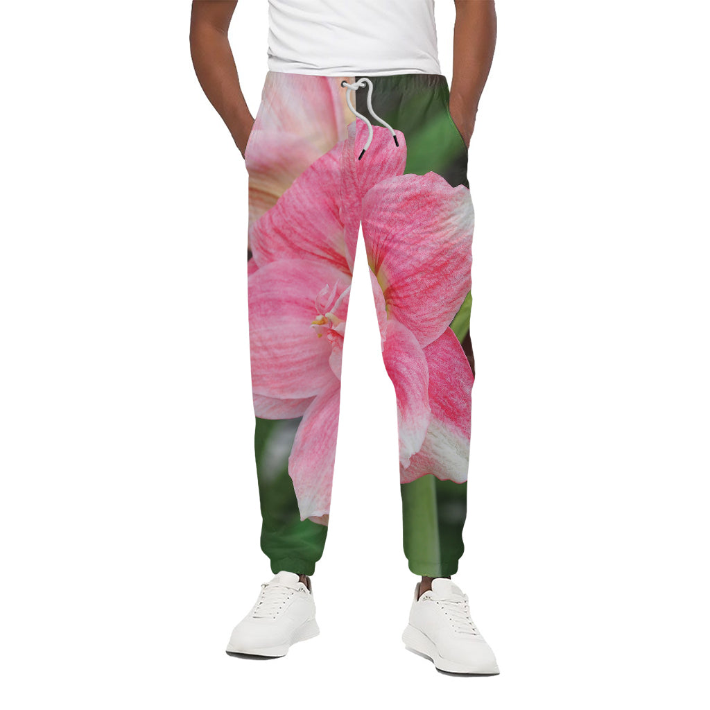Pink Amaryllis Print Cotton Pants
