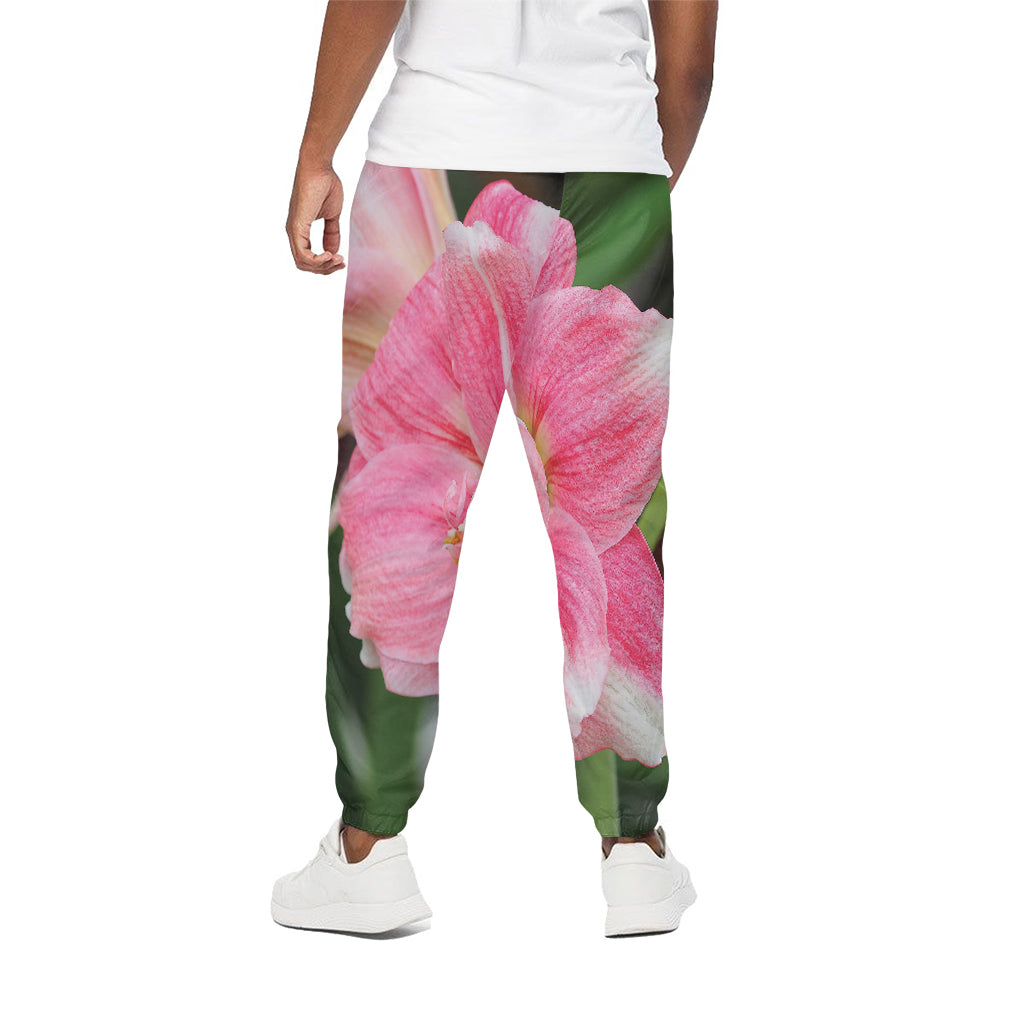 Pink Amaryllis Print Cotton Pants