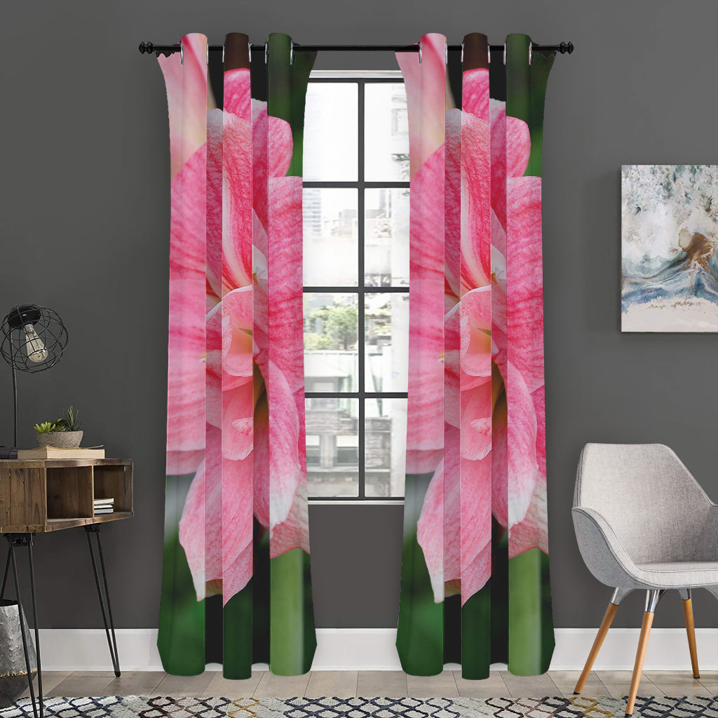 Pink Amaryllis Print Curtain