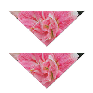 Pink Amaryllis Print Dog Bandana