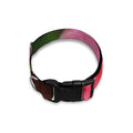 Pink Amaryllis Print Dog Collar