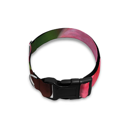 Pink Amaryllis Print Dog Collar