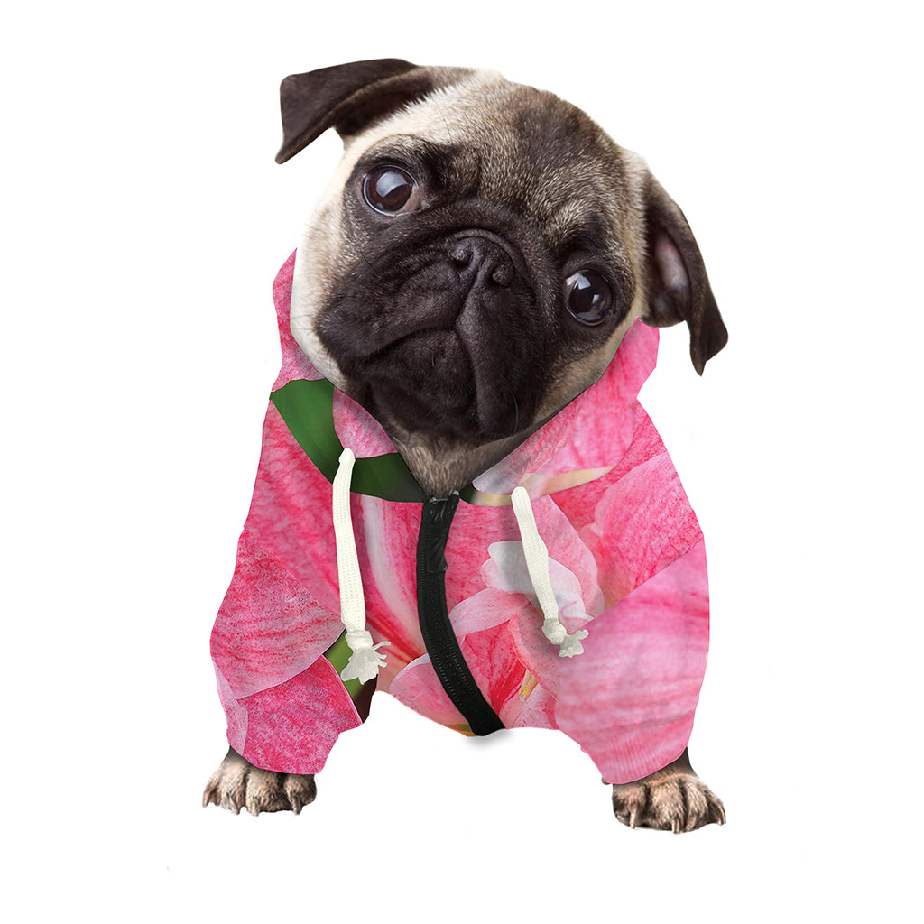 Pink Amaryllis Print Dog Zip Up Hoodie