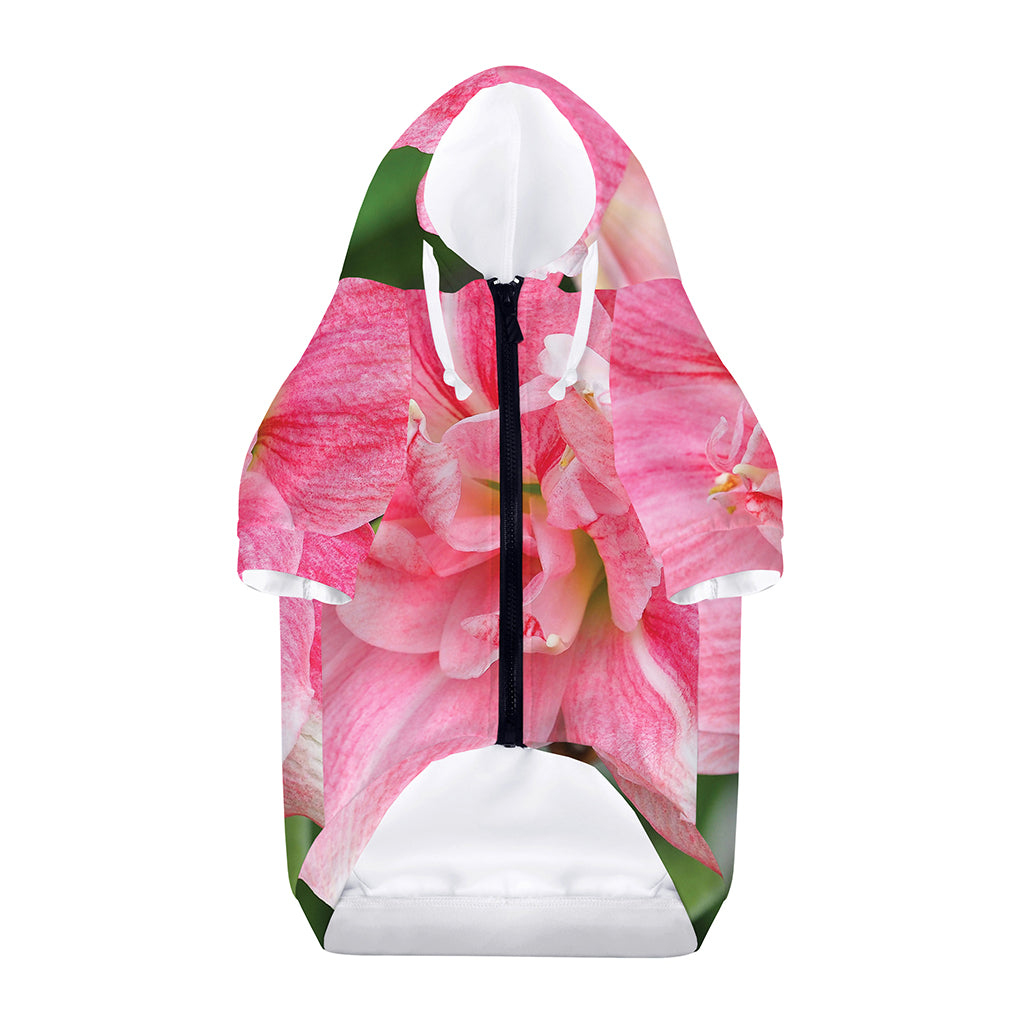 Pink Amaryllis Print Dog Zip Up Hoodie