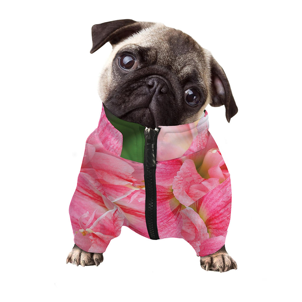 Pink Amaryllis Print Dog Zip Up Jacket