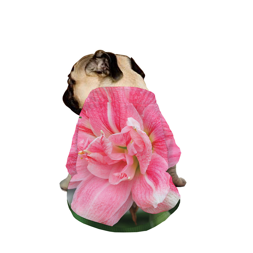 Pink Amaryllis Print Dog Zip Up Jacket