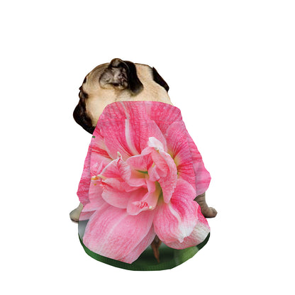 Pink Amaryllis Print Dog Zip Up Jacket