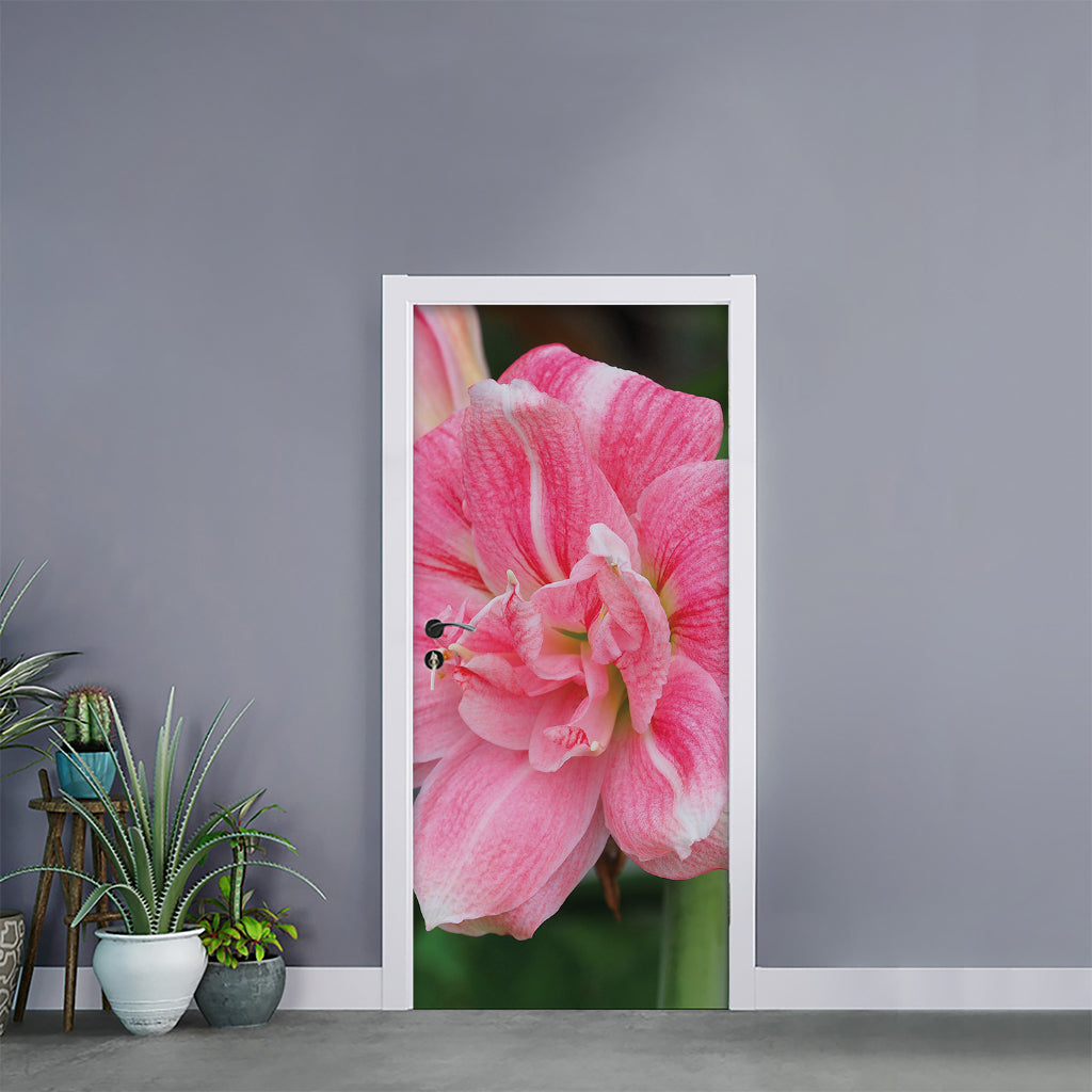 Pink Amaryllis Print Door Sticker