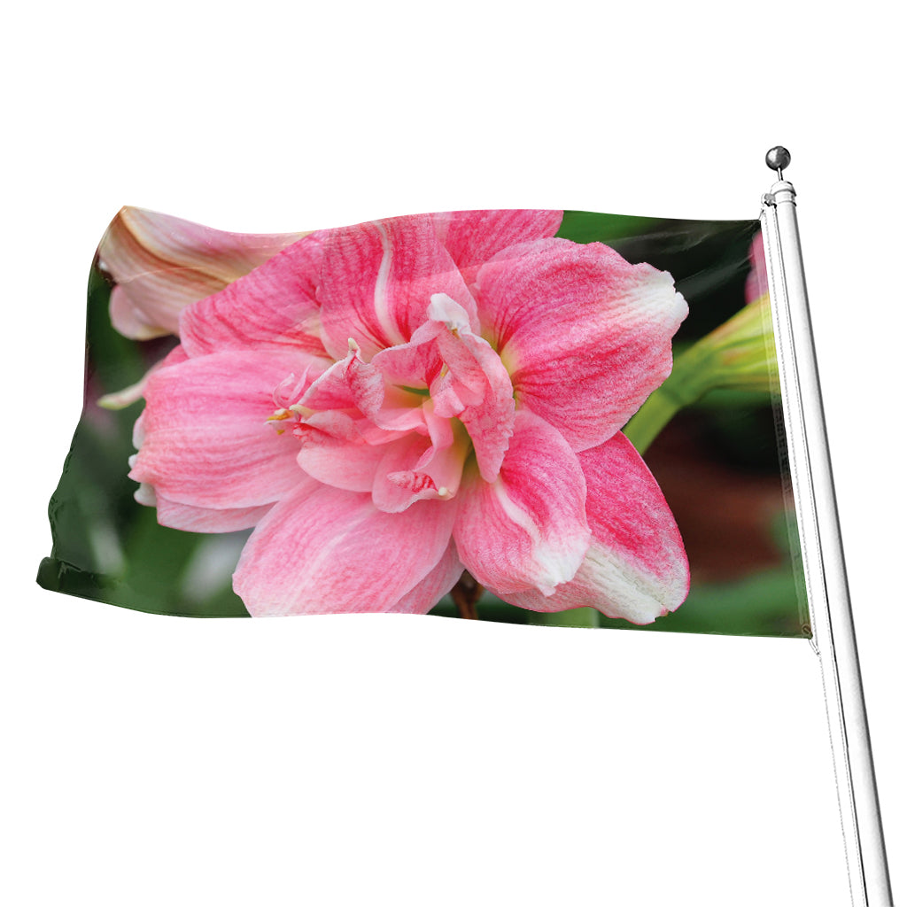 Pink Amaryllis Print Flag