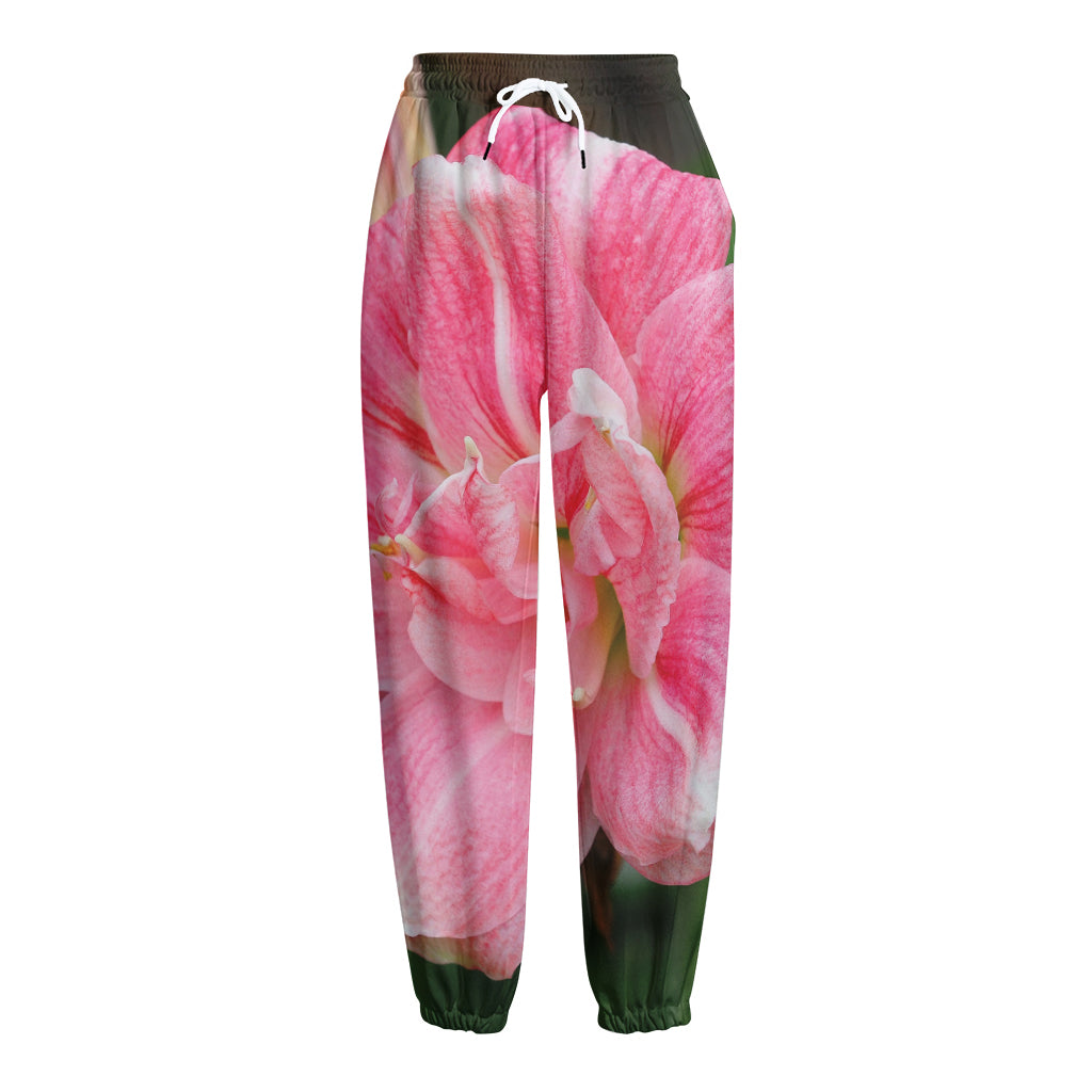 Pink Amaryllis Print Fleece Lined Knit Pants