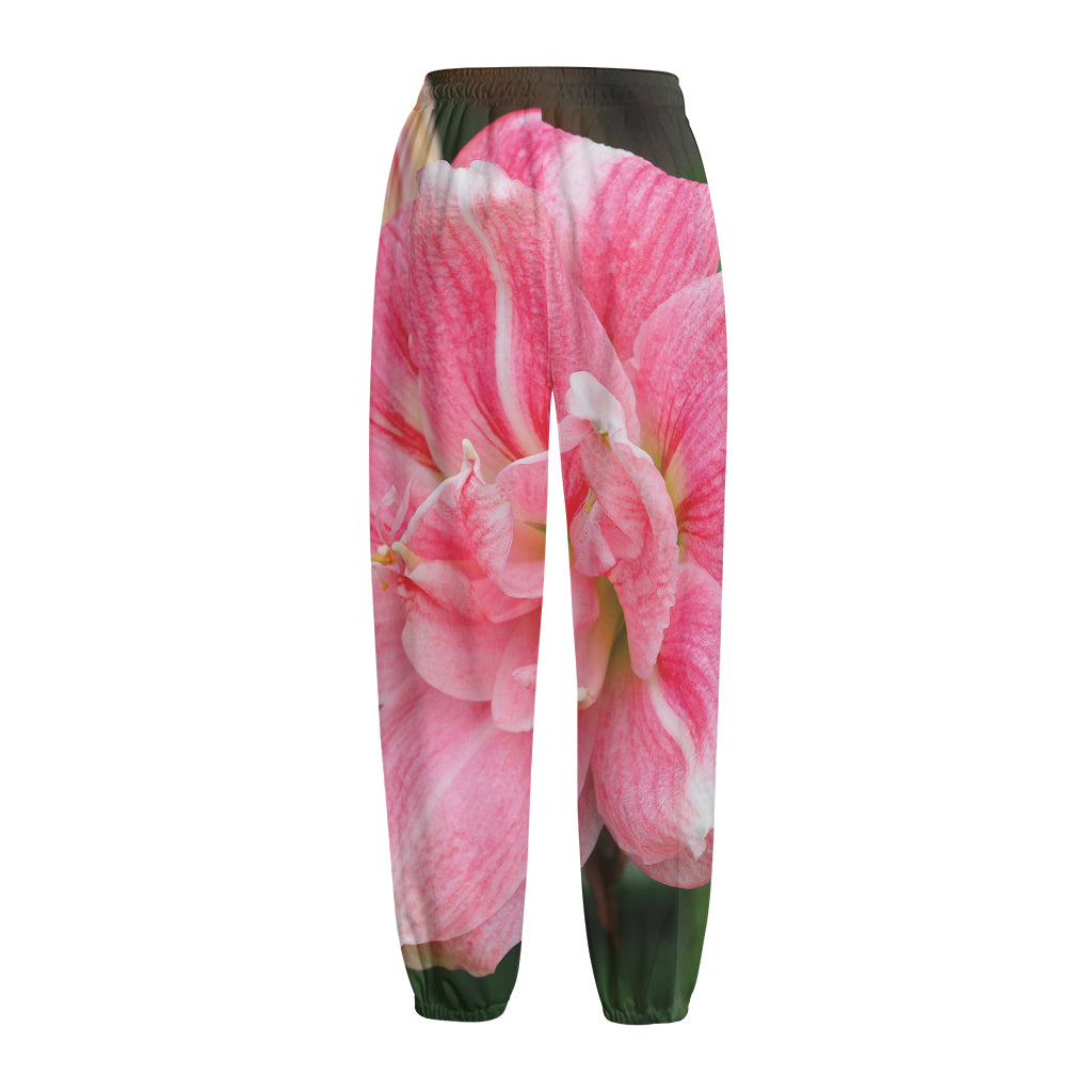 Pink Amaryllis Print Fleece Lined Knit Pants