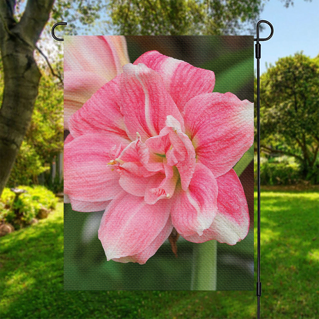 Pink Amaryllis Print Garden Flag