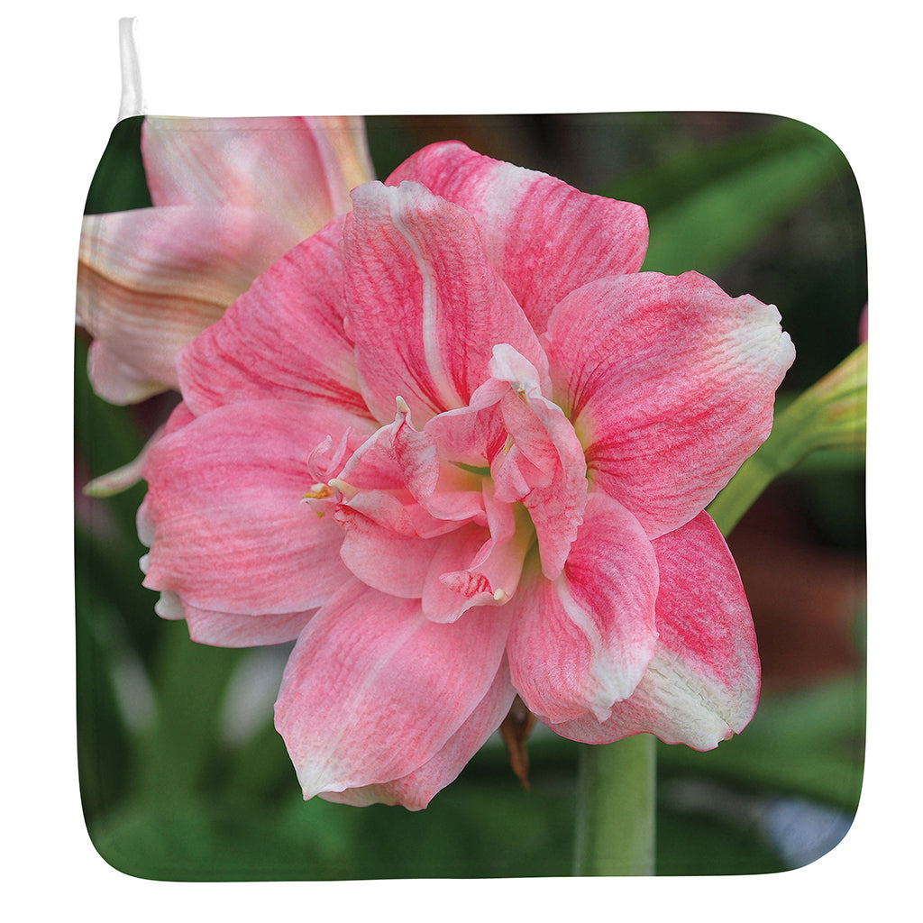 Pink Amaryllis Print Hand Towel