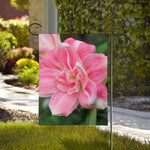 Pink Amaryllis Print House Flag