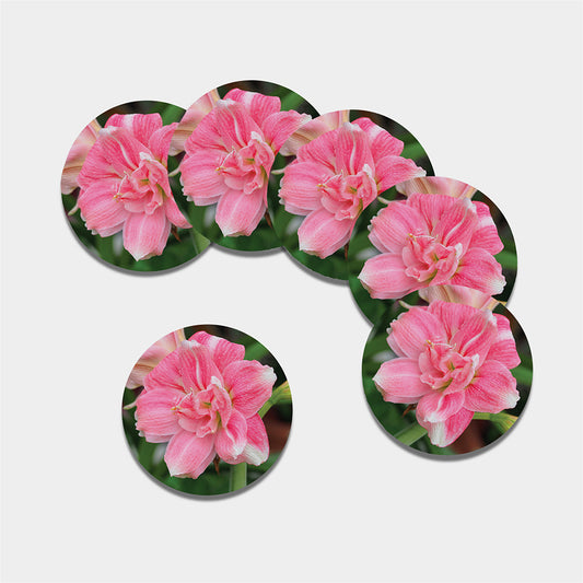 Pink Amaryllis Print Leather Coaster Set
