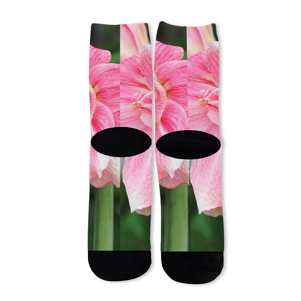 Pink Amaryllis Print Long Socks