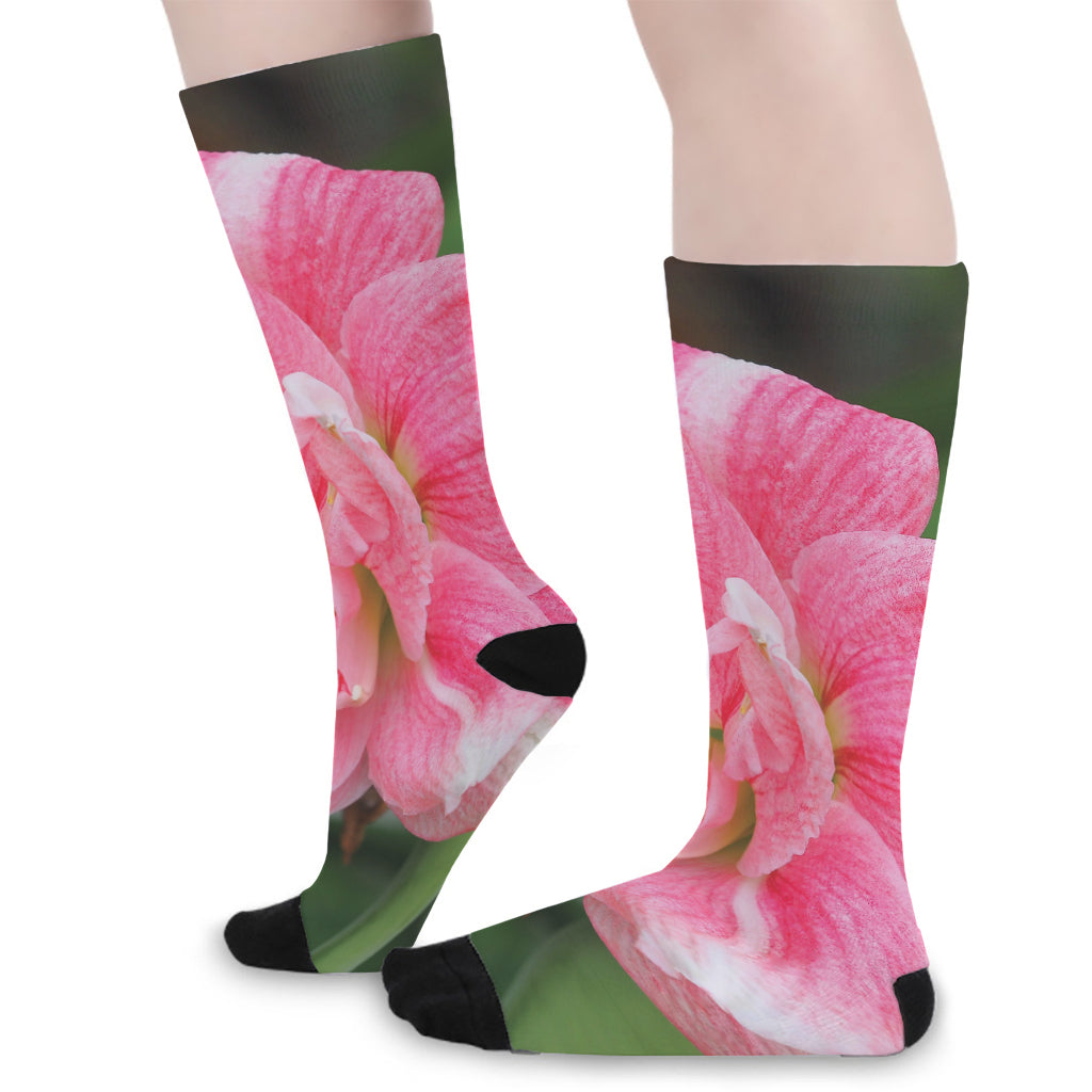 Pink Amaryllis Print Long Socks