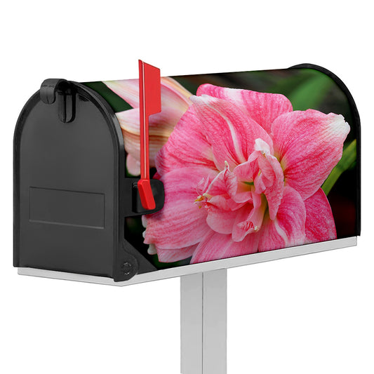 Pink Amaryllis Print Mailbox Cover