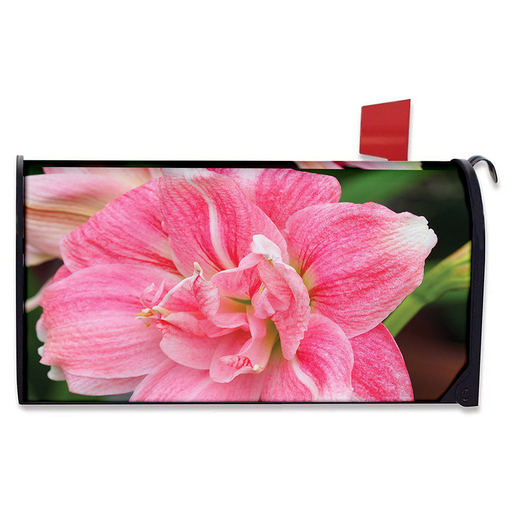Pink Amaryllis Print Mailbox Cover