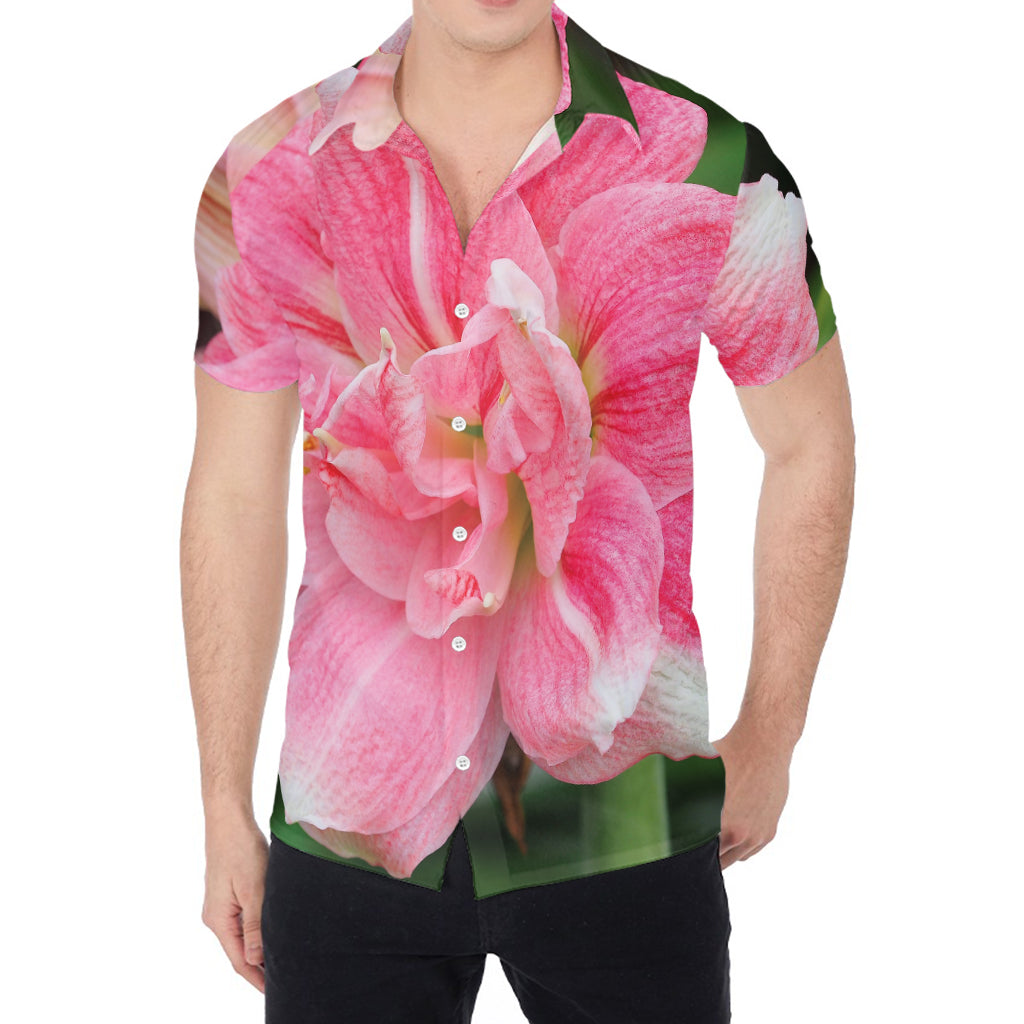 Pink Amaryllis Print Men's Shirt