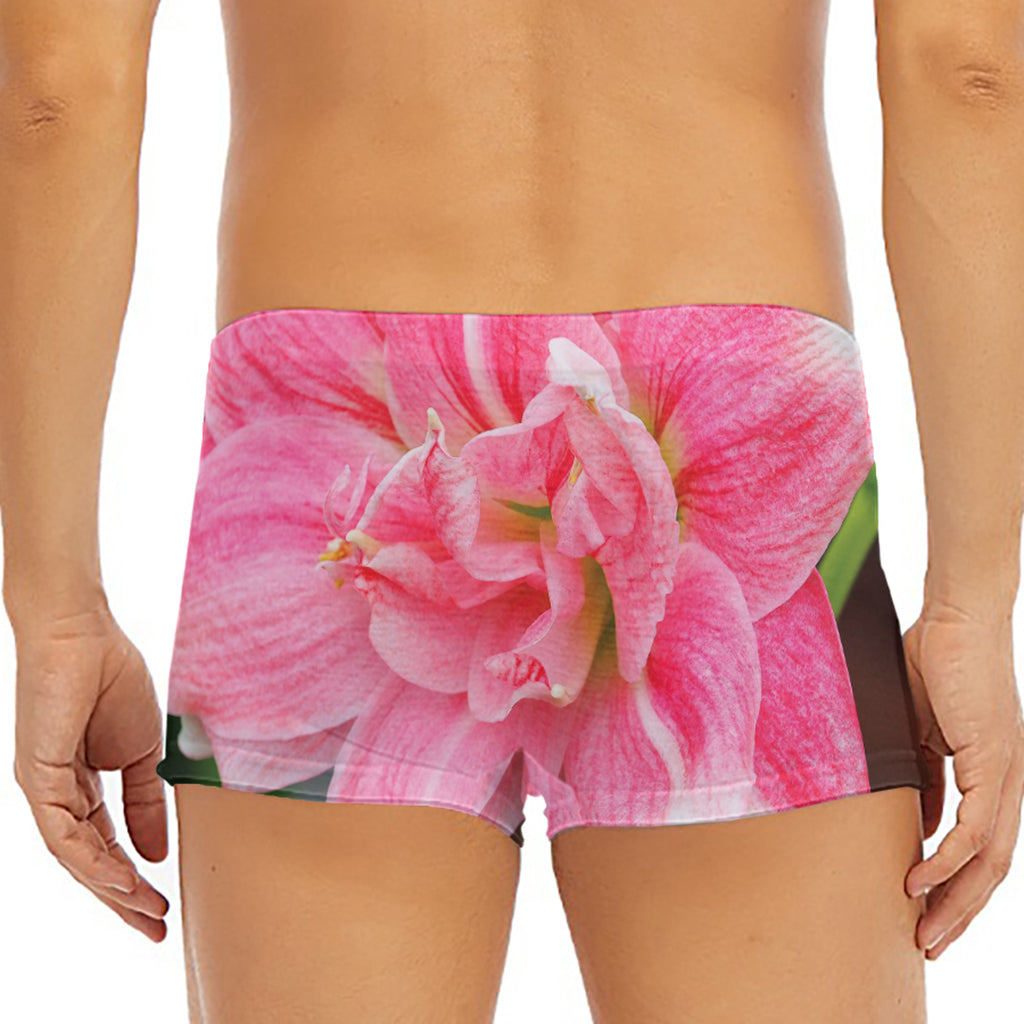 Pink Amaryllis Print Men's Short Boxer Briefs