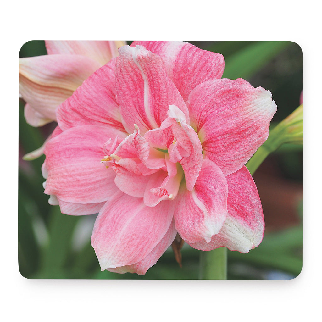 Pink Amaryllis Print Mouse Pad