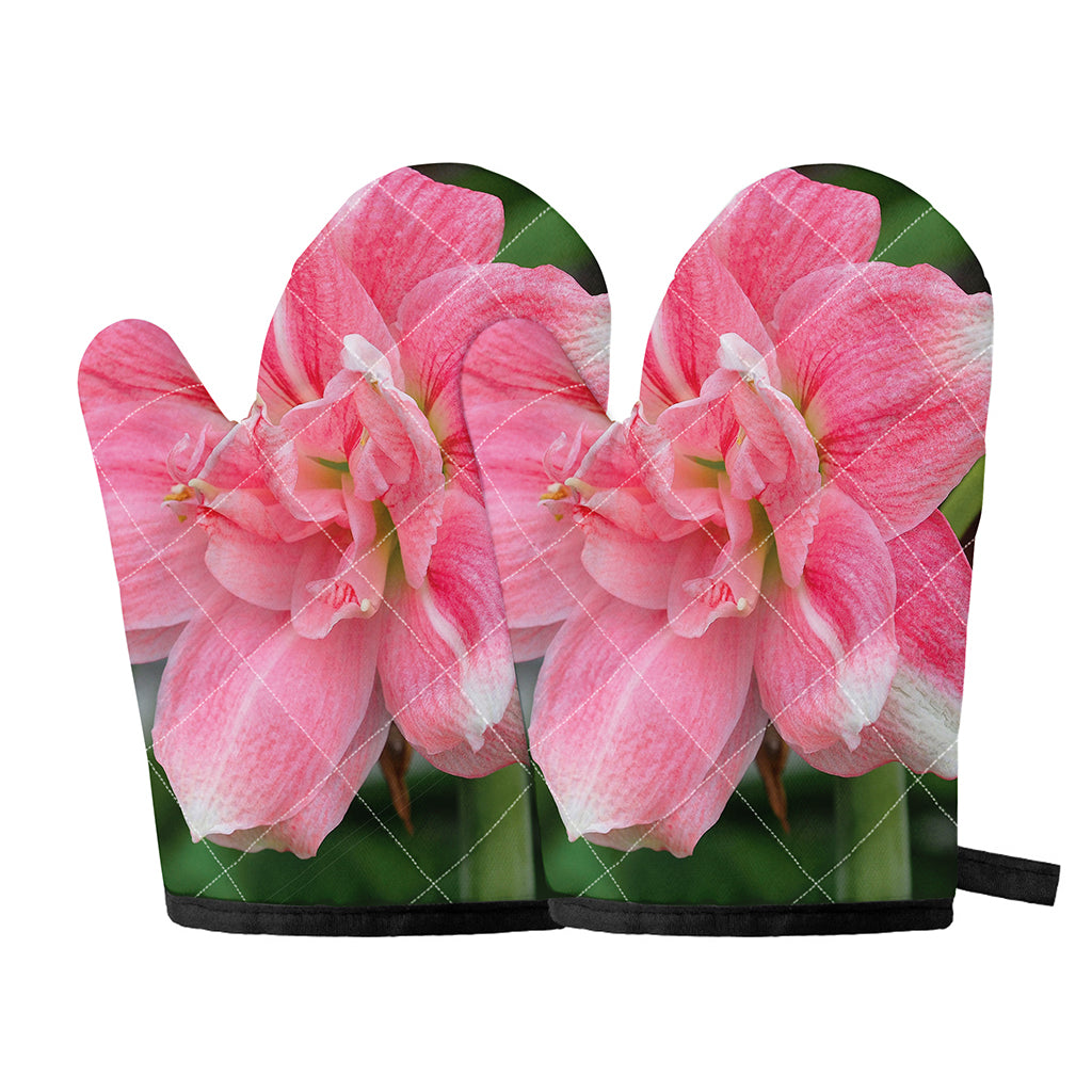 Pink Amaryllis Print Oven Mitts