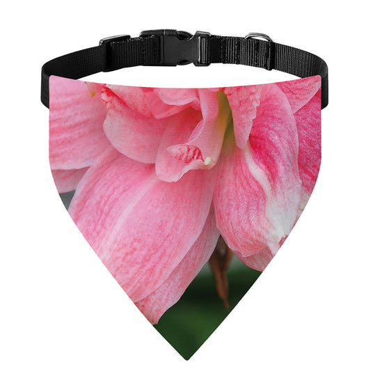 Pink Amaryllis Print Over The Collar Dog Bandana
