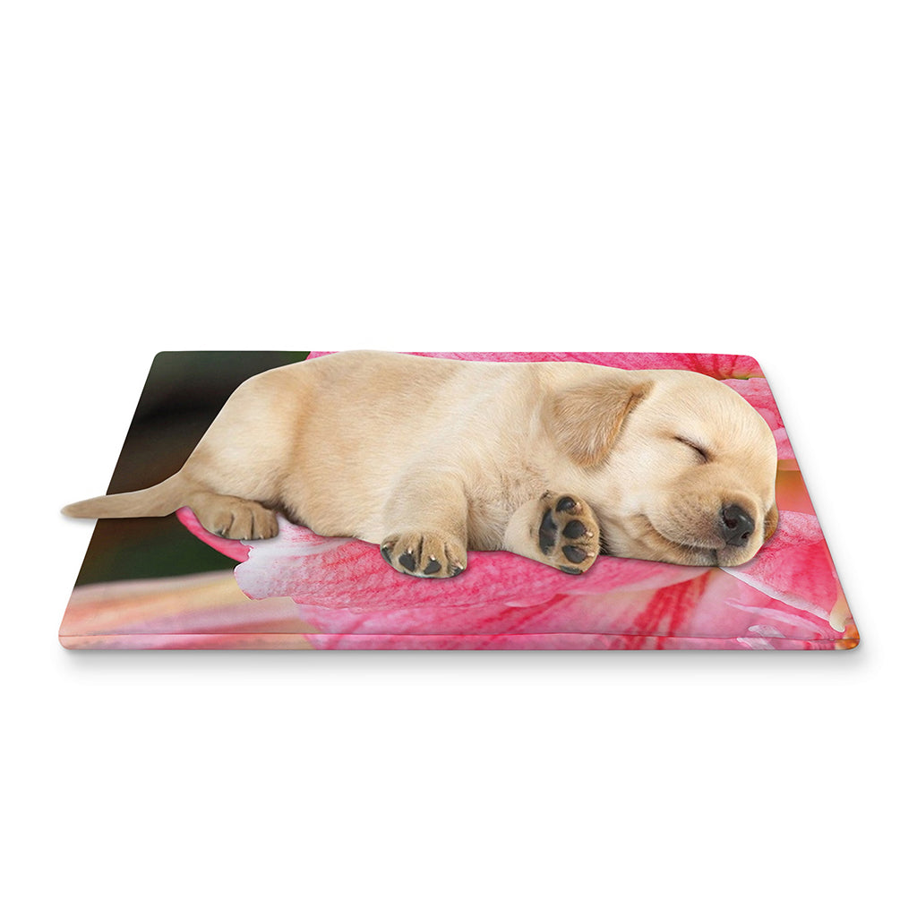 Pink Amaryllis Print Pet Cooling Mat Cover